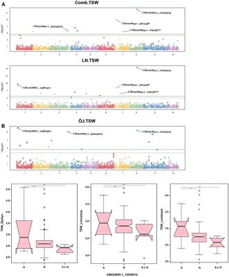 Developing genomic tools to assist turnip rape [Brassica rapa (L.) subsp.oleifera (DC.) Metzg.] breeding